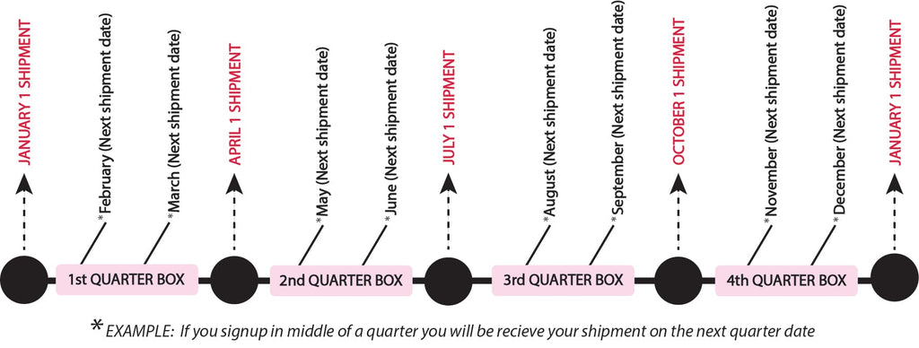 Subscription Box quarterly shipment schedule for jewelry