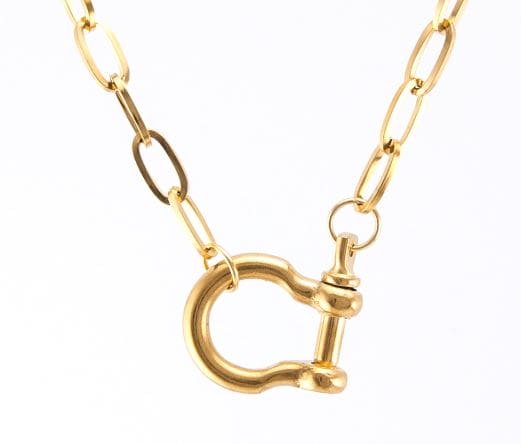 Gold ADMK Front Horseshoe Clasp Necklace with chic link chain